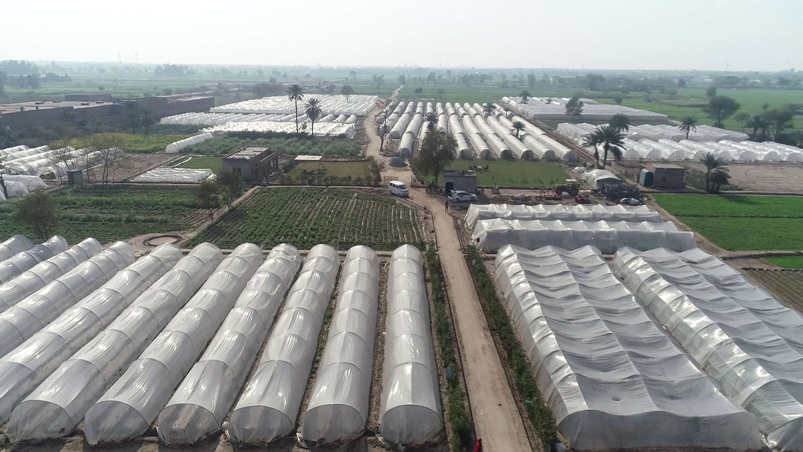 Green Gold Research Farm