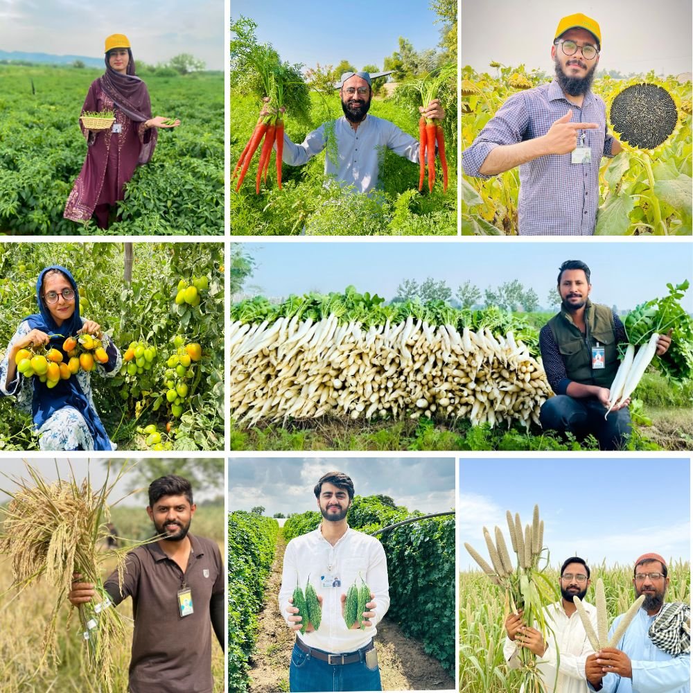 Green Gold Group of Companies